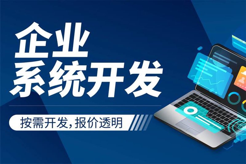 办公软件定制：企业效率的新突破